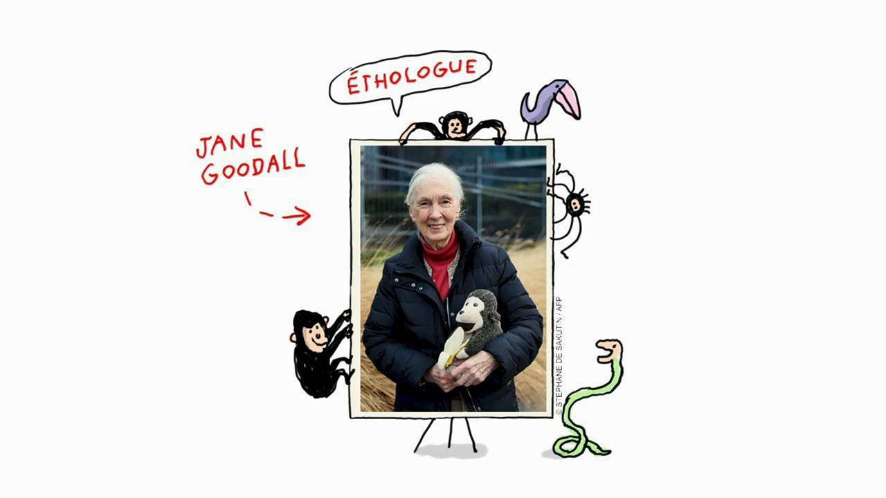 C’est qui Jane Goodall ?